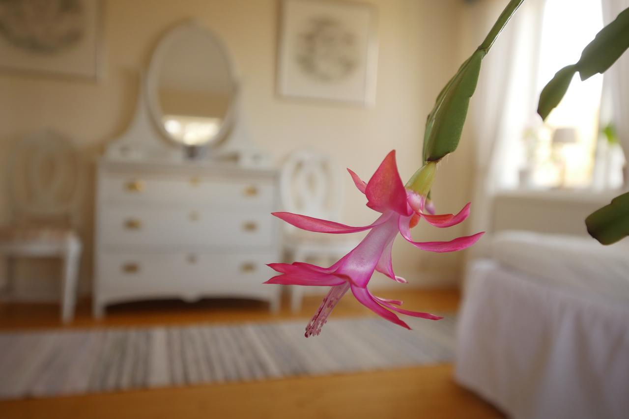 Groena Anaes Bed & Breakfast ostra Loa Exterior photo