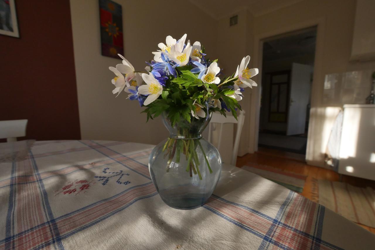 Groena Anaes Bed & Breakfast ostra Loa Exterior photo